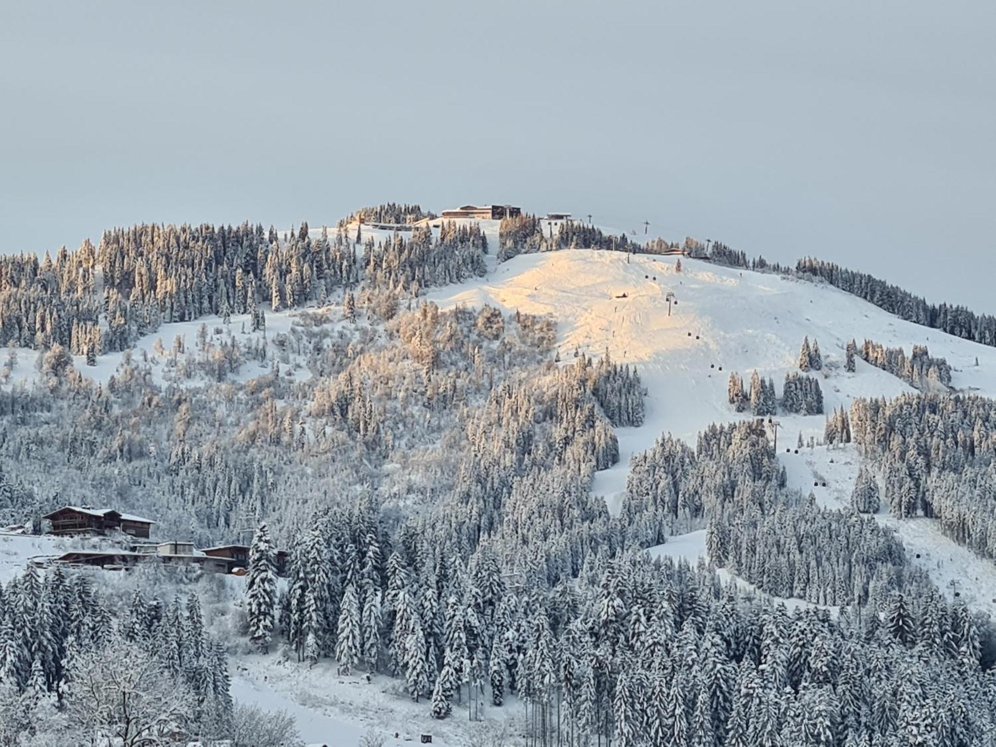 Going Easy Apartment Going am Wilden Kaiser Екстериор снимка
